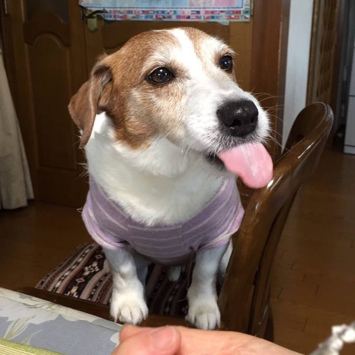 53866f9d e0c0 418f 89b9 30039e1d7ae0