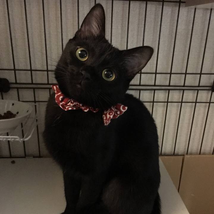 53868b17 0f0f 4d02 9b5d a2ee04b692ca