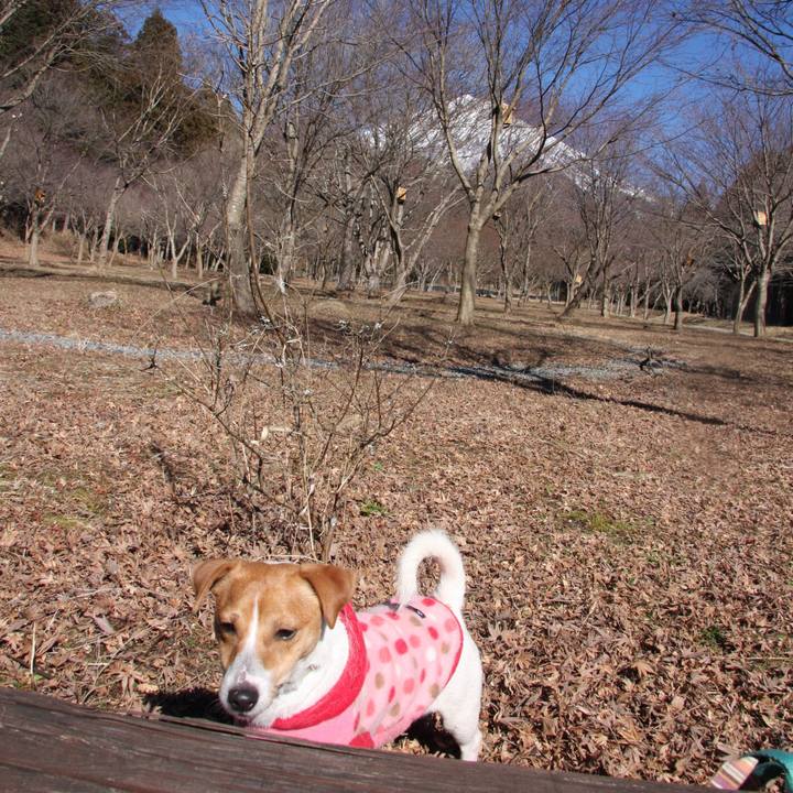 5387baaa 013e 4deb aee3 55235a002cb0