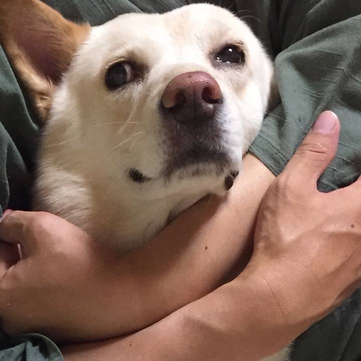 5387ed63 1d1f 42bb b964 82e4717301cc