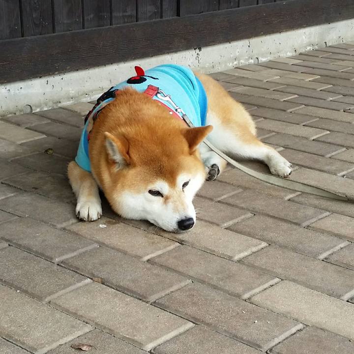 538803d1 a377 4d98 884e 0db2a386e398