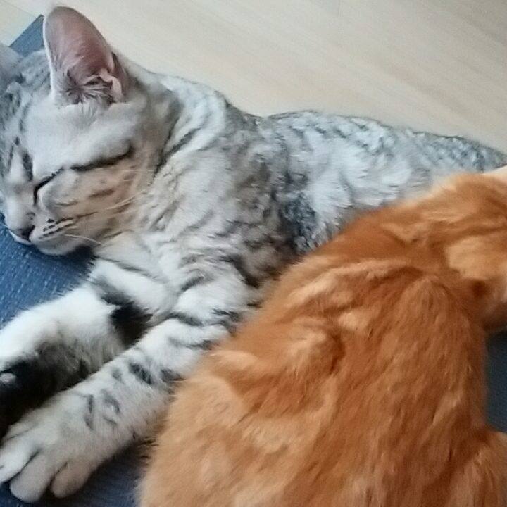 538845c2 93f5 43c9 9ae0 6d367a948ed6