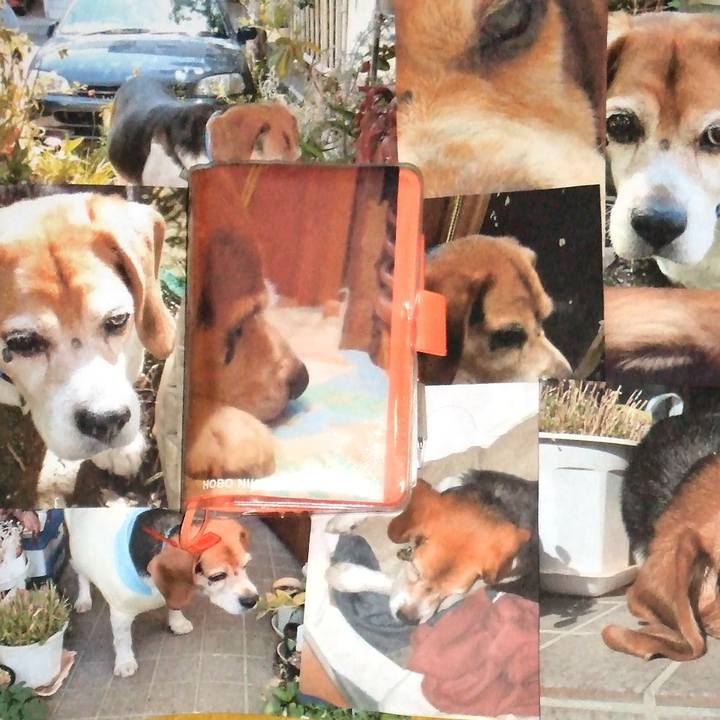 5388648d 9da0 4a02 b651 abf5bd7c5944