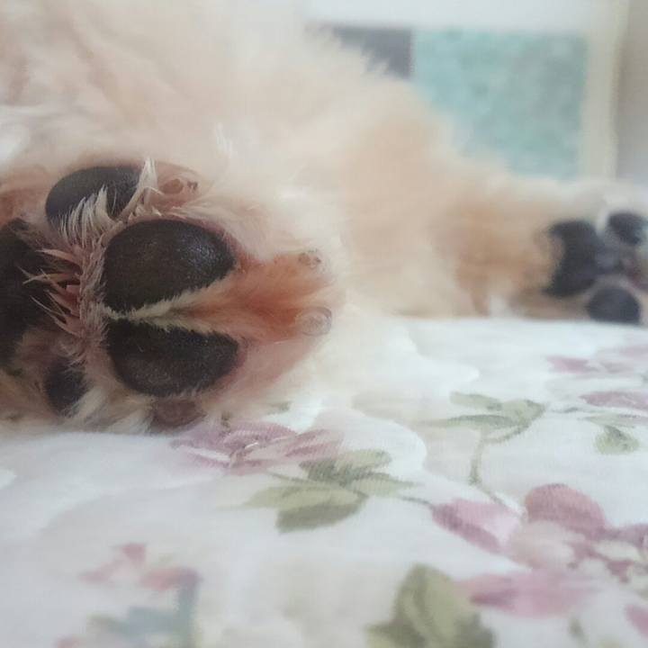 538877b7 e5a7 4239 95fe c227d5b7194e