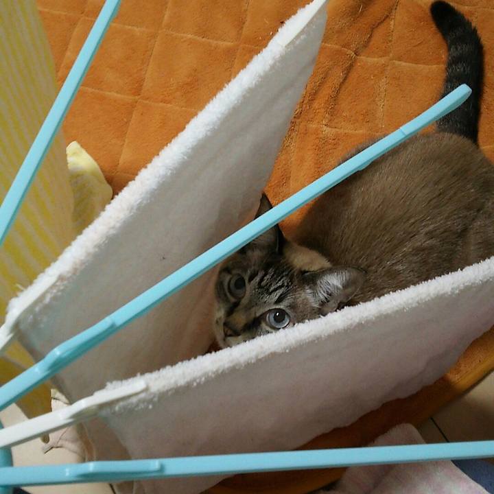 538891de 6801 4f0f b5fa 4273592b0357