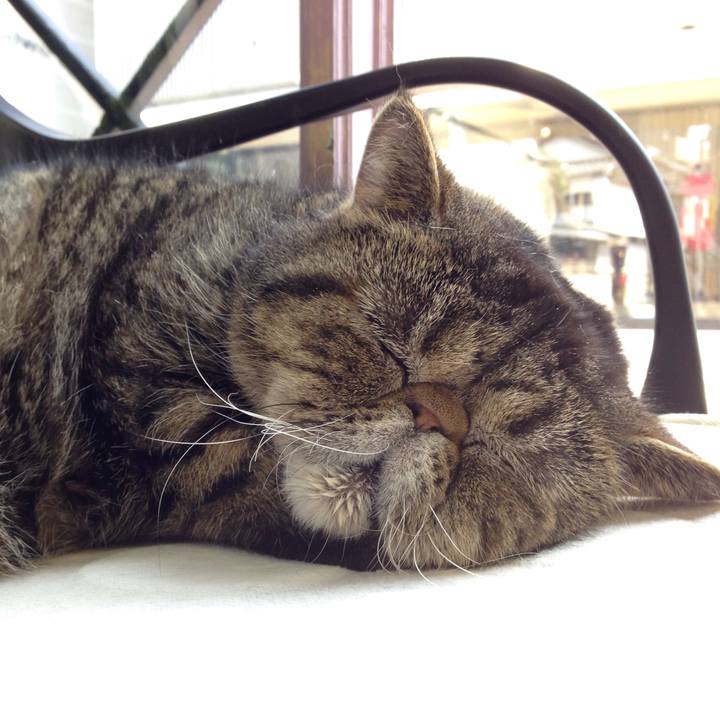 5388bc6f 3b11 4fe8 9aff 61d0e81949af