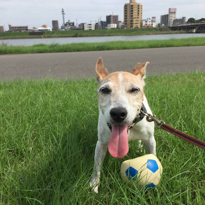 53897ed5 3b92 4f3a 9f99 e7e35ac4f9c3