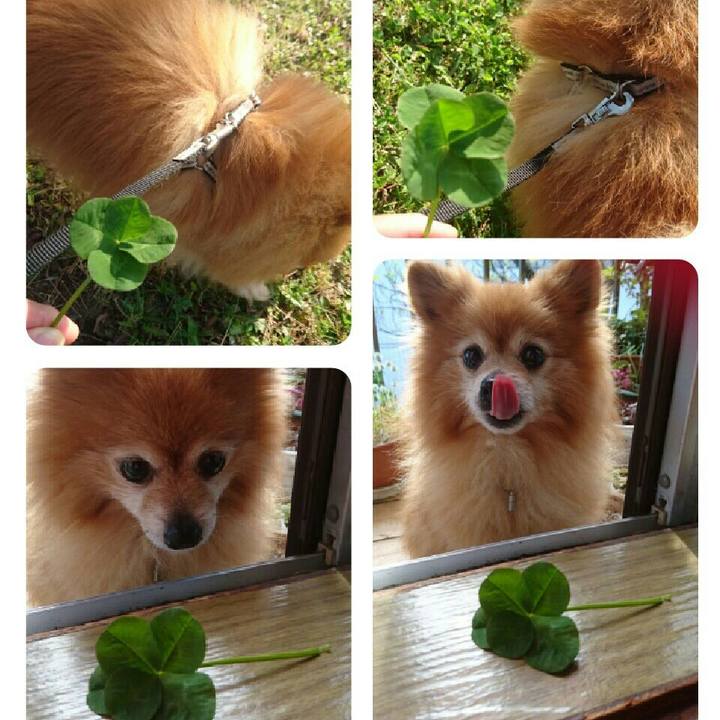 5389dc26 15b6 41c1 b362 1285099bc71c