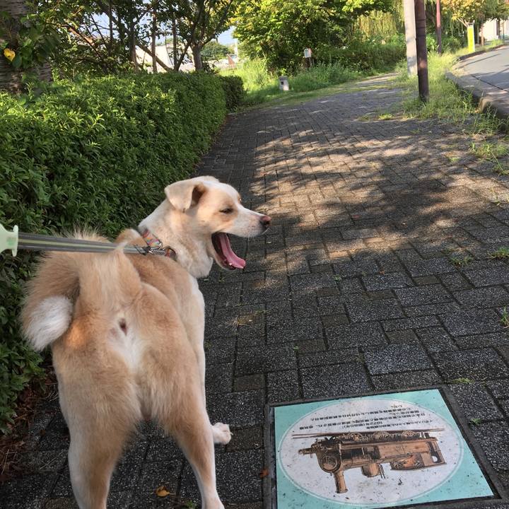 538a43b3 af07 4d30 a8bc 7f1e0c1d039b