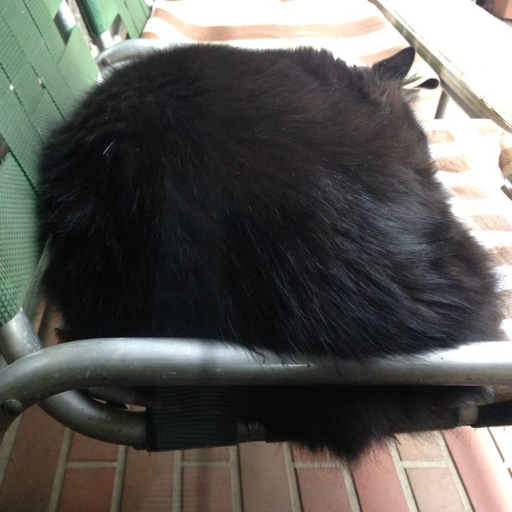 538aa316 fcab 40ca 81b3 7a024386972b