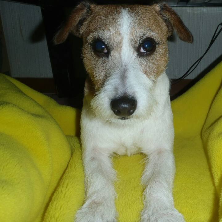 538b95fb 0d9a 4877 b243 f6d25f08d162