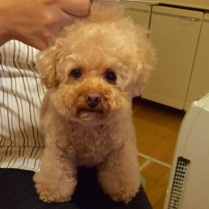 538bd6a1 410f 4d45 998f 9d46977ac2ab