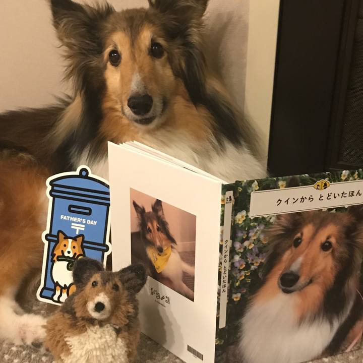 538c1140 a72f 407d a67c 83bc4f7da274