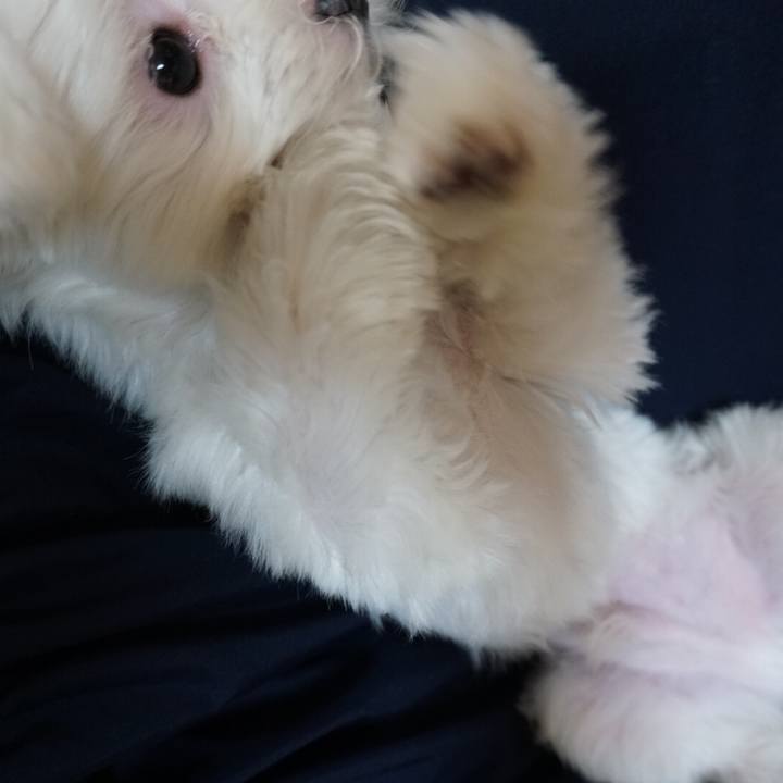 538d70ae 9207 4415 8f7a e89344b7735f