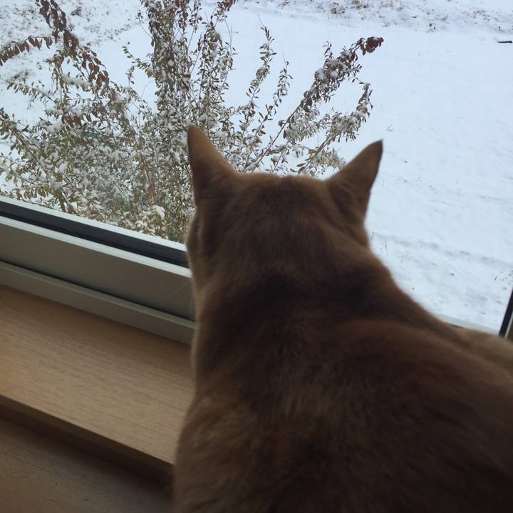 538de399 4741 481c b1d8 9d7d398b4ac3