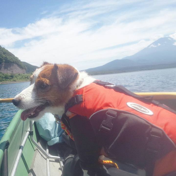 538ec737 df1b 492e bd0b 75195982bd28