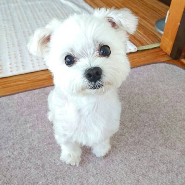 538f93d4 a0cf 40cf 8790 ab9cac3ef2cb