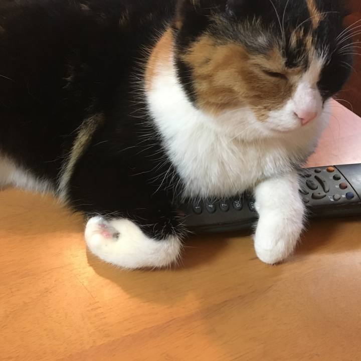 538f964d 45f1 4bf4 b360 a8cfa9b8bdaf