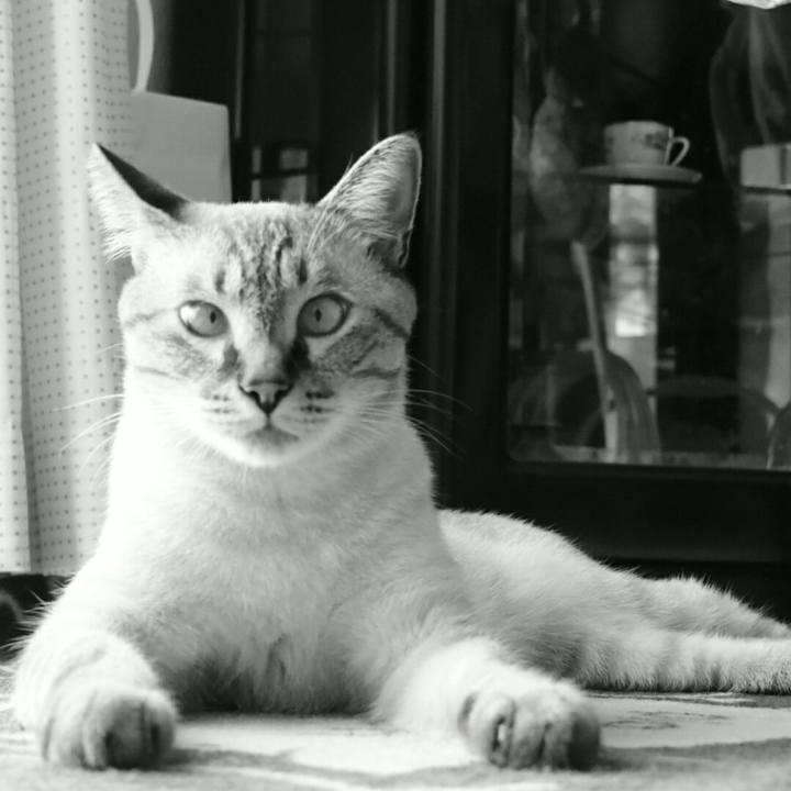 538f9c2c 3f47 4ca9 b879 71f832c006d5