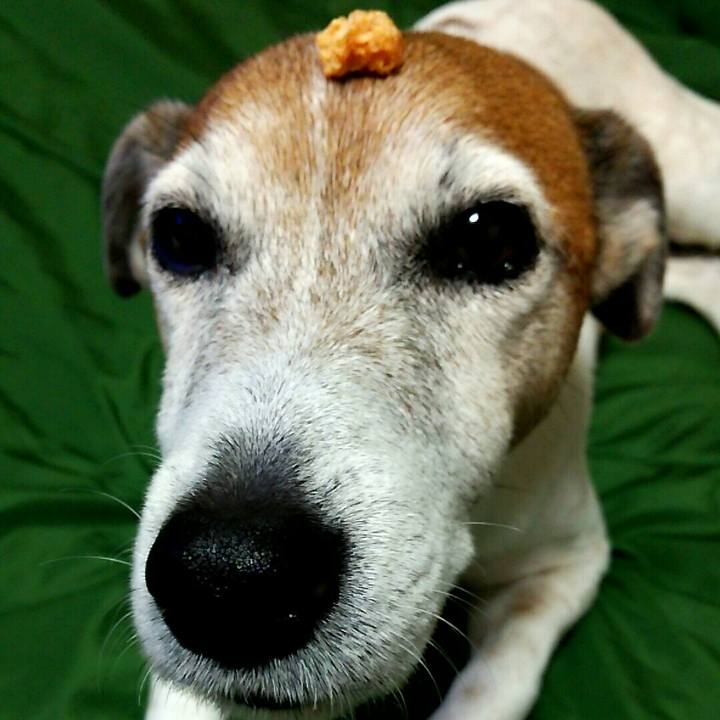 538fefa0 92b1 44a0 83c3 72a26050ce19