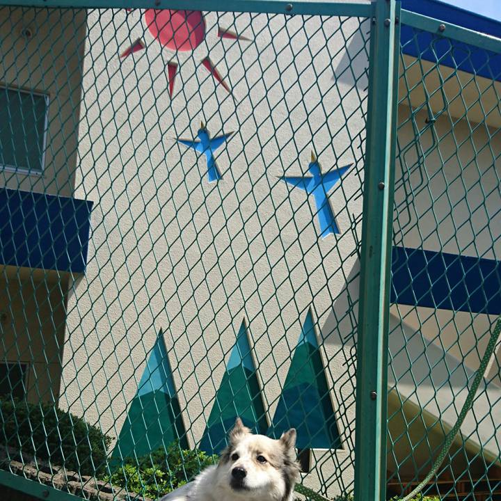 53901d03 c56f 4794 b4df ef13f8926f95