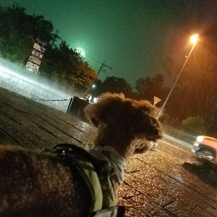 5390a68f fab7 4725 b6d6 987feb6974de