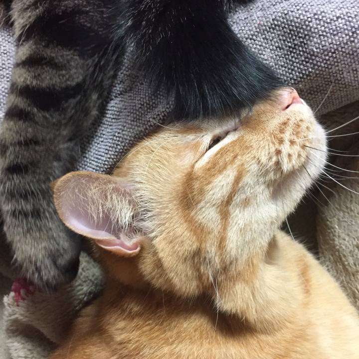 5390cba0 4579 4f37 99d5 121bb24b3027