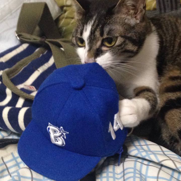 5390cfb5 6fb9 41fb 9de9 18989af53174