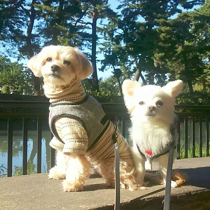 5390e7c9 87e9 4155 8628 a2a4c68e1e4e