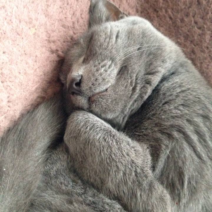 53915fb6 df96 4f1d acd2 dcd8a62def5e