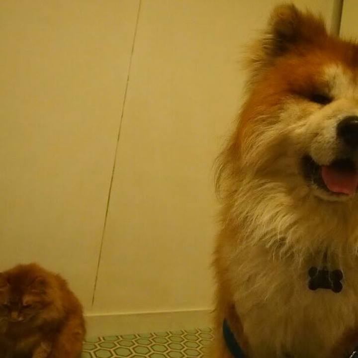 53916d80 26f5 4b86 a98b c31c743e6621