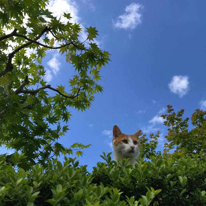 5391b0e3 874f 4e1b 8039 fb2f057b7a1e