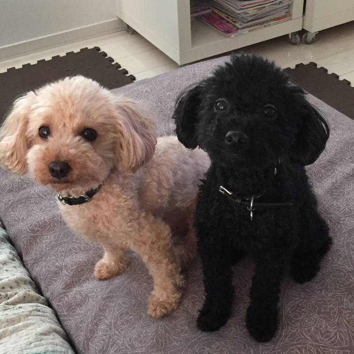 5391ec90 ba51 4cfa a487 510f3390a060