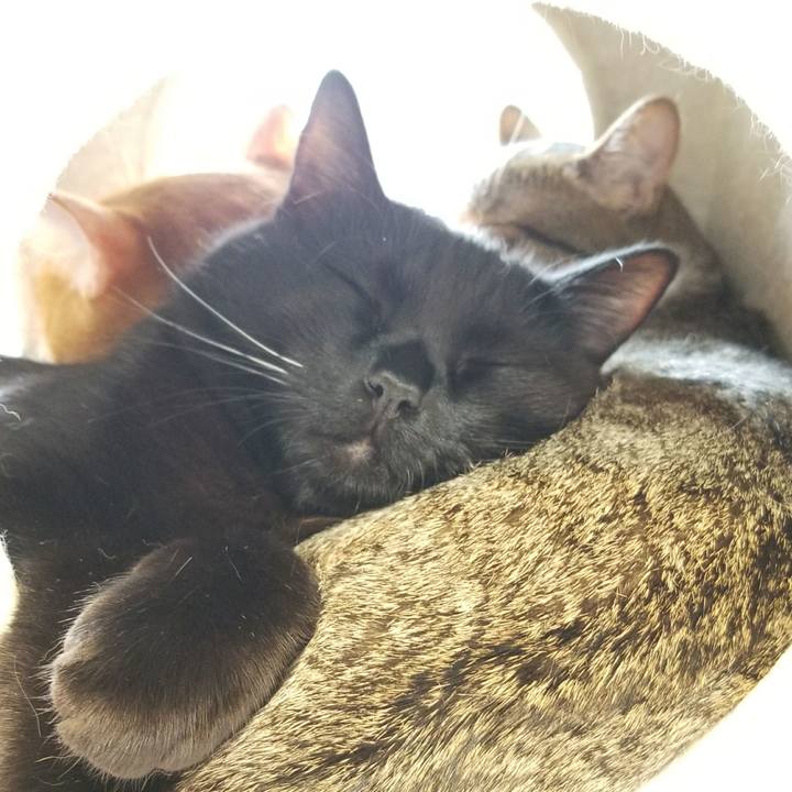 5392beeb a31c 4c0b 9b83 e5aae4311fed