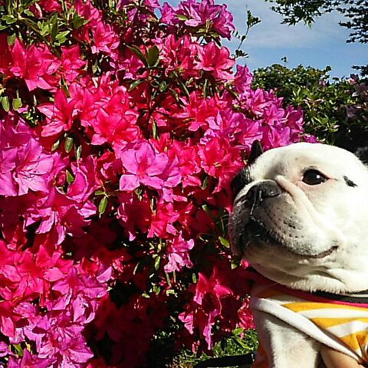 5393302c dd9d 4fa9 9aec c91a685517d8