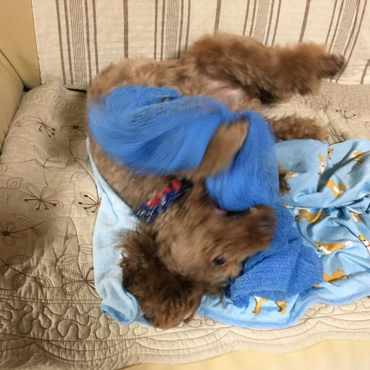 53936c8c eeb9 4edb 84b8 bae0d5a39fa1