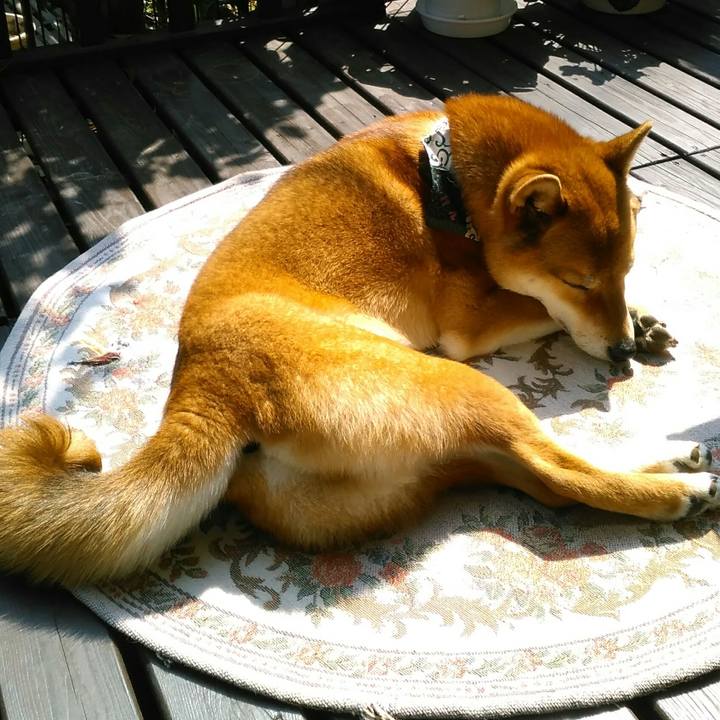 5393bd80 4366 44fc 8a06 1ce6ef5a6b9f