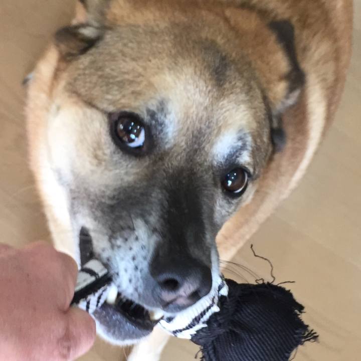 5393f0a7 303a 4334 9a13 27fdd23c184c