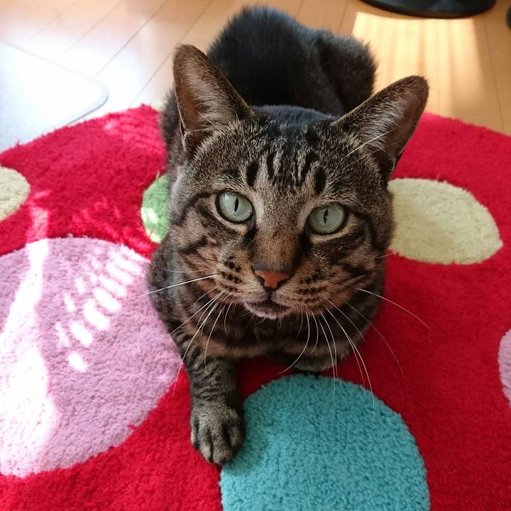 5394ce75 4f91 444a a5b4 74875dcf0722