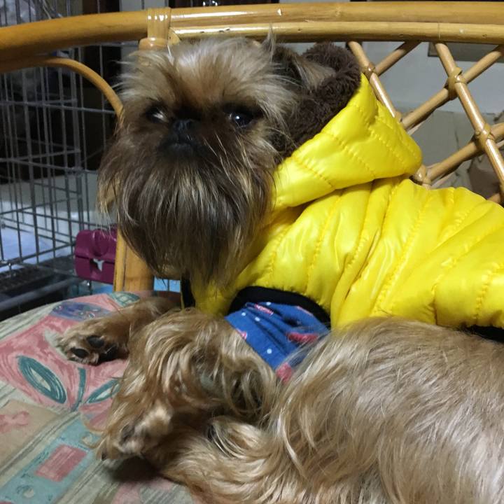 5394dd27 ae96 4156 9f69 1312ffe3e14d