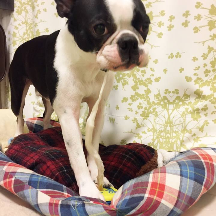 53951813 dcda 4485 8f32 540b8667093e