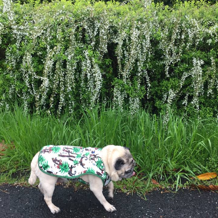 53956bae 6a23 4d44 a55c 61cd91b114ca