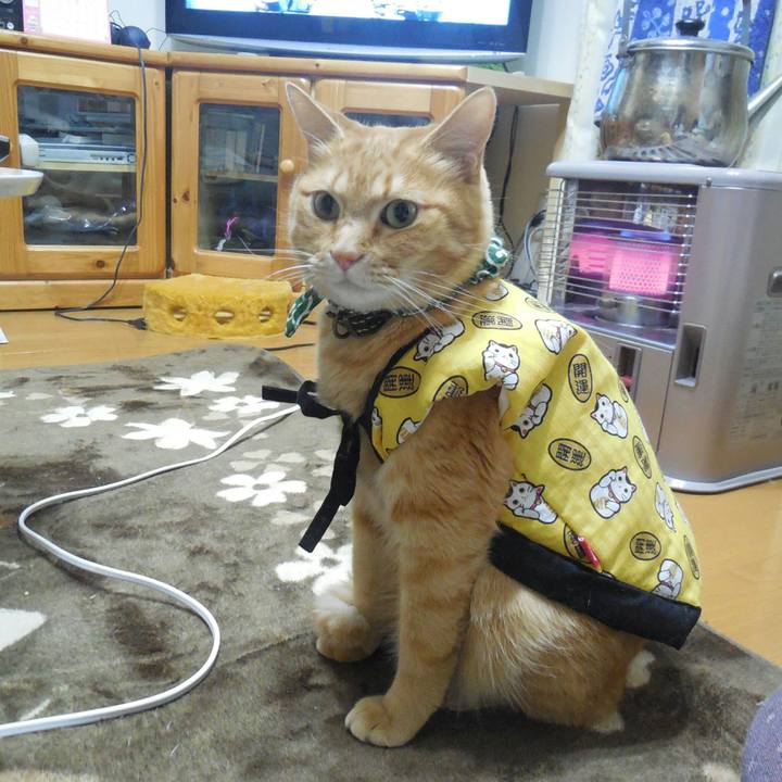 53957403 2303 4104 a193 9d4a45f7331f