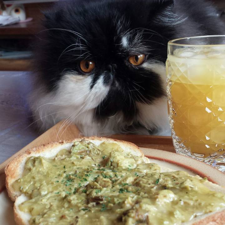 5395c436 6b4e 4ce4 bfa5 8aa8f1413df2