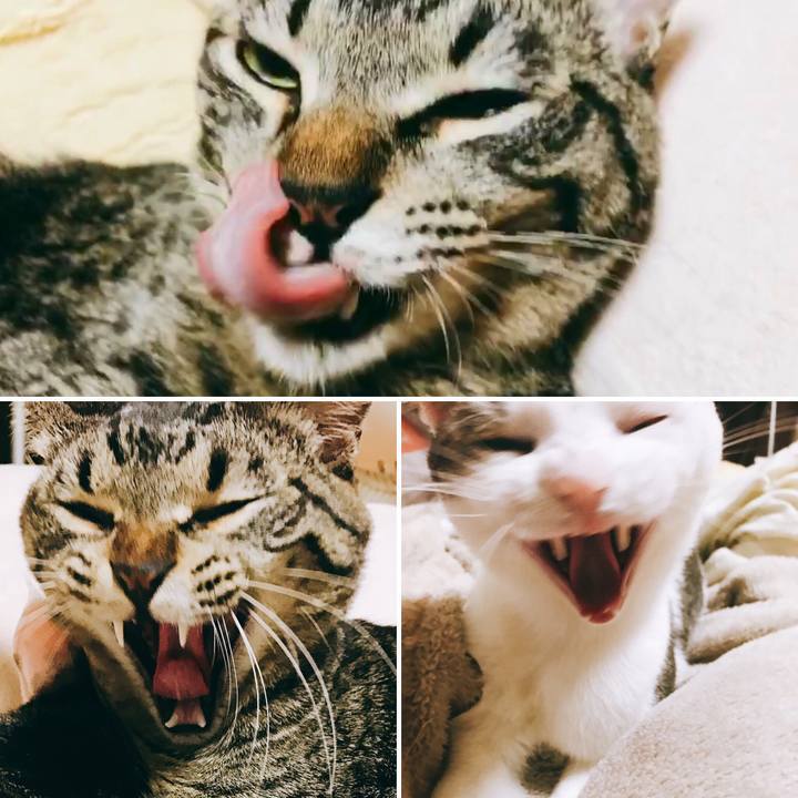 5396700d 821c 43a9 87a0 5b908ddb86a5