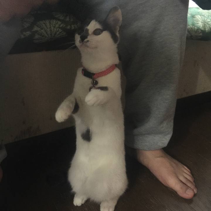 5396dc4d 40bc 4cf1 b9b0 d4e56384127d