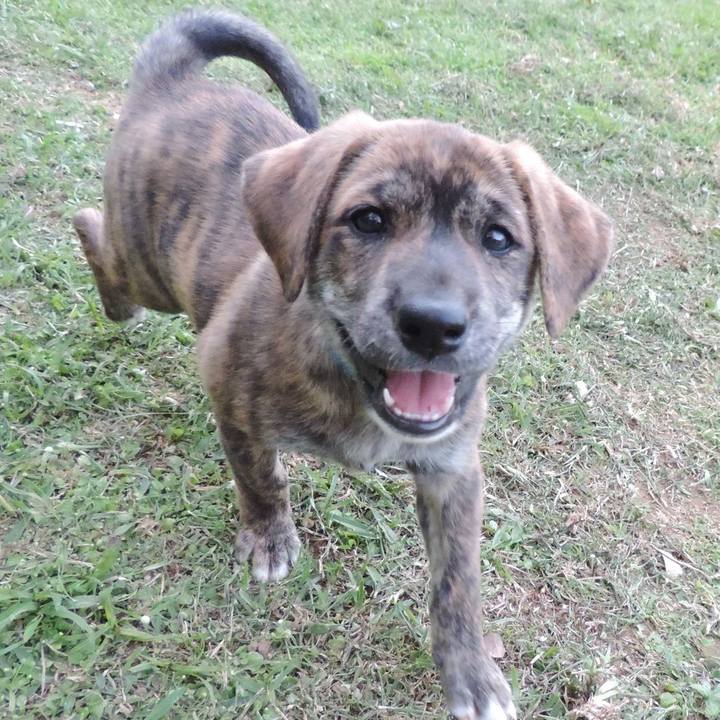 53978e41 0abf 4ec6 94f0 04b084c52f7f