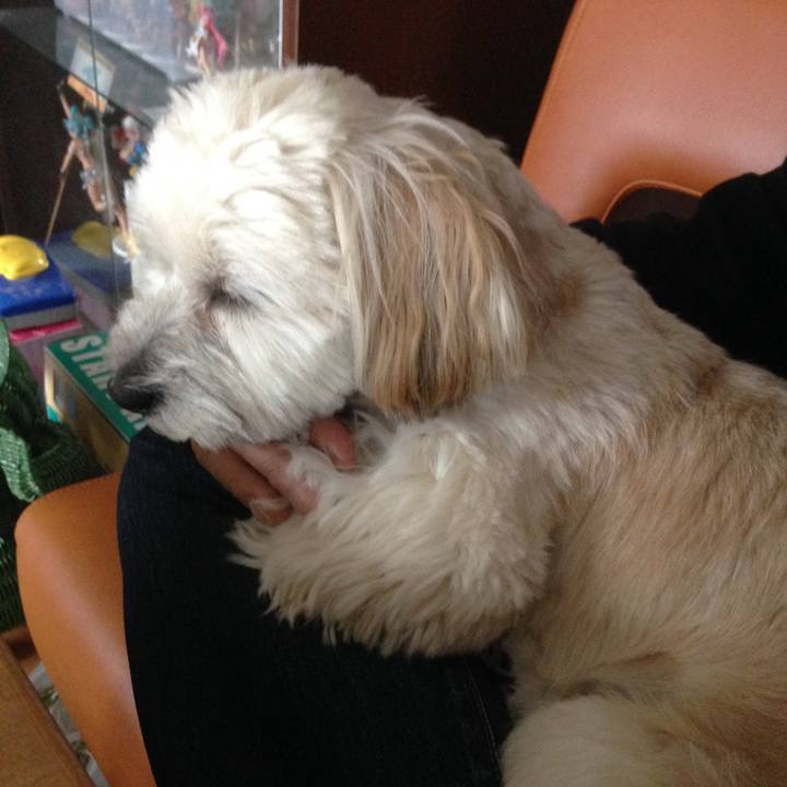 53980c10 a25b 4e8f 9685 9b48cd4ff90f