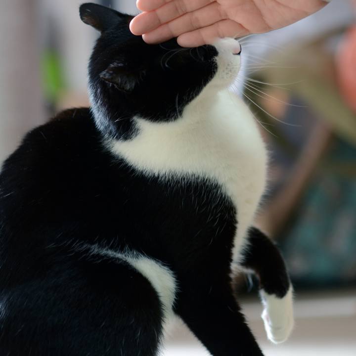 53981767 d923 48b1 b603 187d80a9f13b