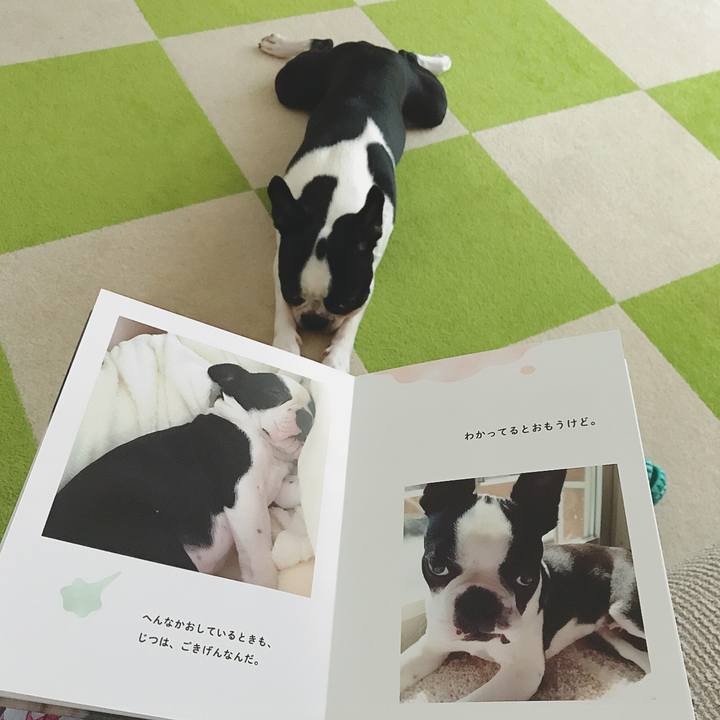 5398569c 1c39 4de5 83e2 041ad0330043